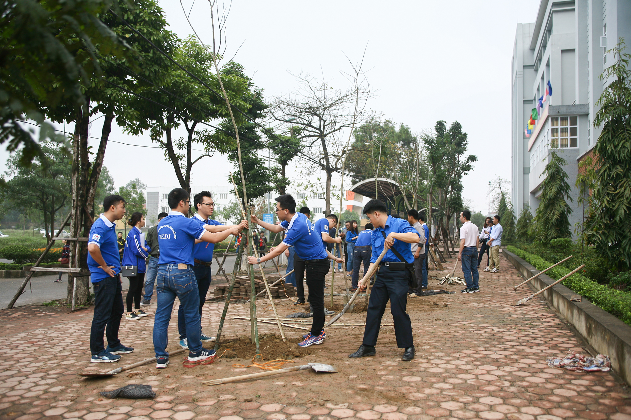 Ngày hội trồng, chăm sóc hàng cây thanh niên