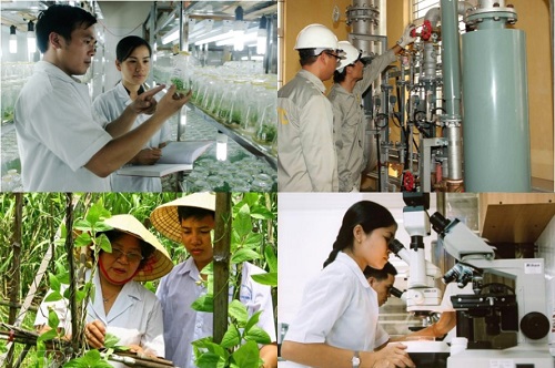 Thông báo đăng ký tham gia Đề án đào tạo, bồi dưỡng nhân lực khoa học và công nghệ ở trong nước và nước ngoài